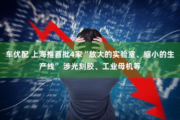 车优配 上海推首批4家“放大的实验室、缩小的生产线” 涉光刻胶、工业母机等