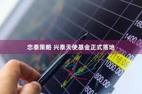 忠泰策略 兴泰天使基金正式落地